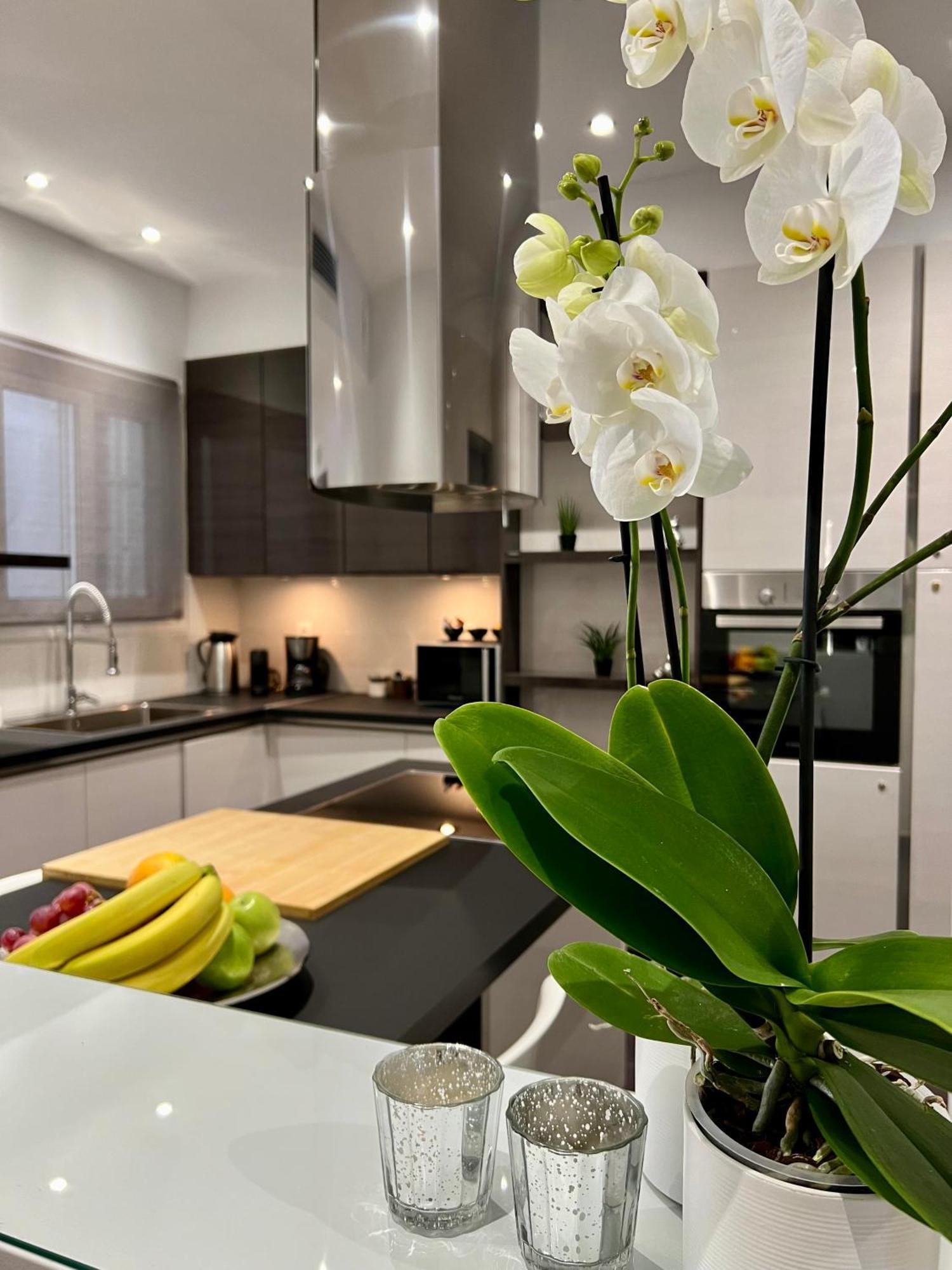 อะโครโพลิส วิว ดีลักซ์ เพนต์เฮาส์ แอนด์ ลักชัวรี อพาร์ตเมนต์ Apartment เอเธนส์ ห้อง รูปภาพ