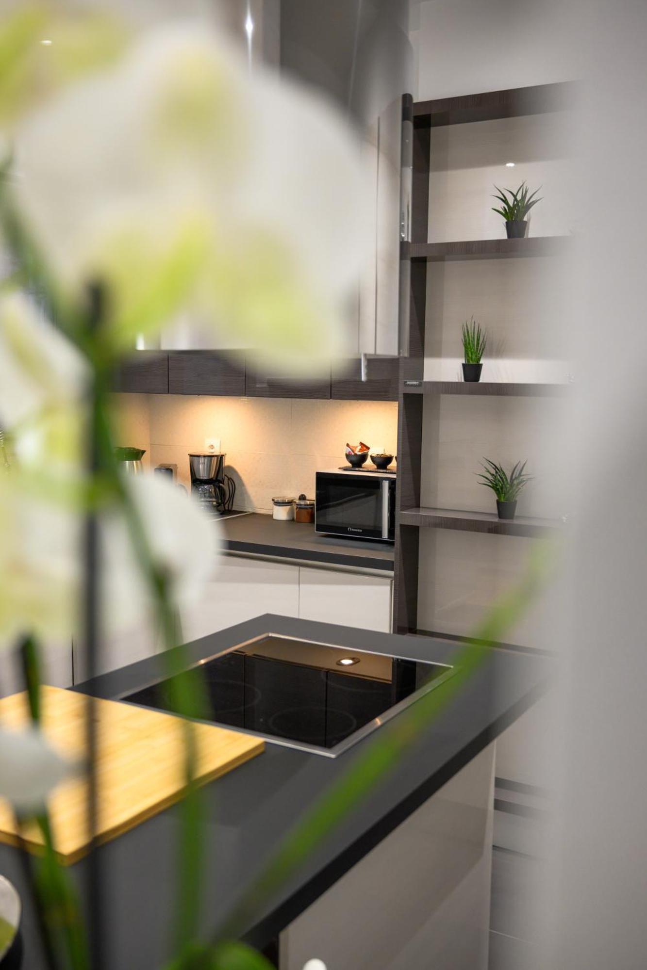 อะโครโพลิส วิว ดีลักซ์ เพนต์เฮาส์ แอนด์ ลักชัวรี อพาร์ตเมนต์ Apartment เอเธนส์ ห้อง รูปภาพ